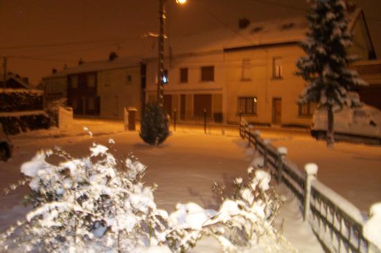 hiver 2010- 2011